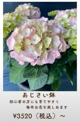 HAPPY MOTAER’S DAY 2025.5.11