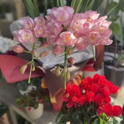 年末年始の営業日のお知らせ